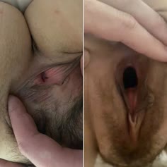 3 way bwc ovulation impregnate porn